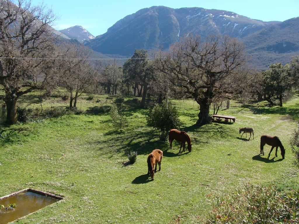 Fattoria Mongerrate Villa Isnello Exterior photo
